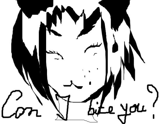 kitty cat