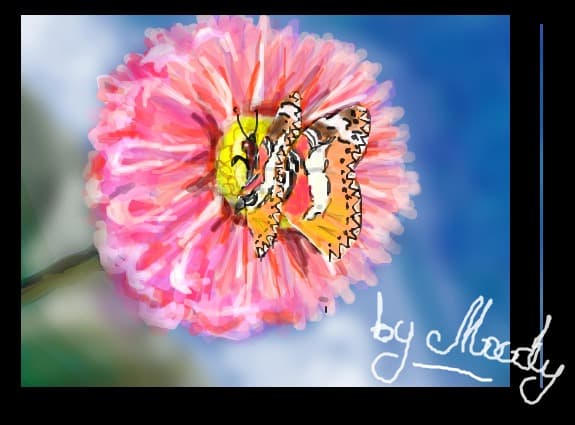 a little butterfly