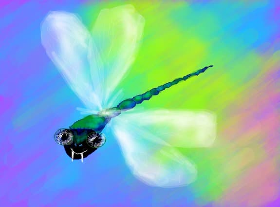 Bibelula