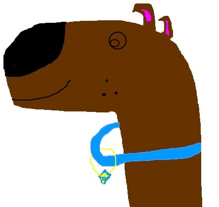 Scooby doo