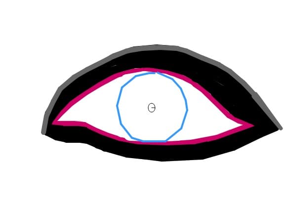 ochi
