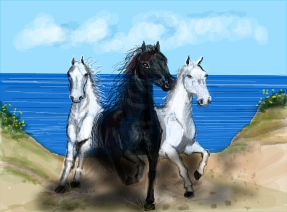 three horses