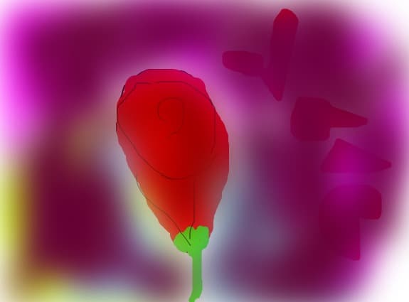 rose
