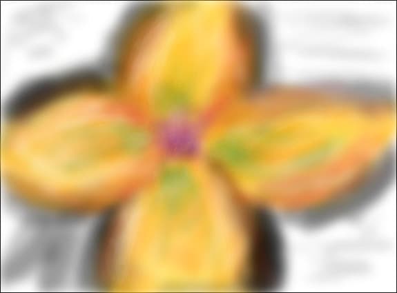floare