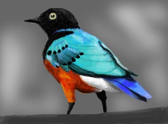 zuzupoof
