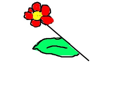 floricica