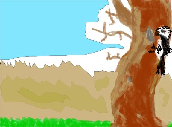 The bird