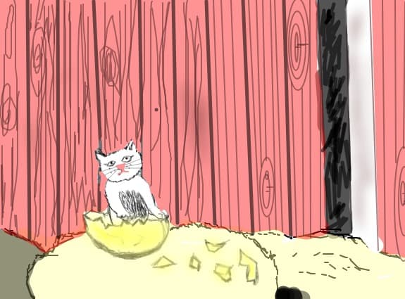 kitty
