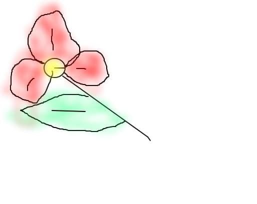 floare roshioara!