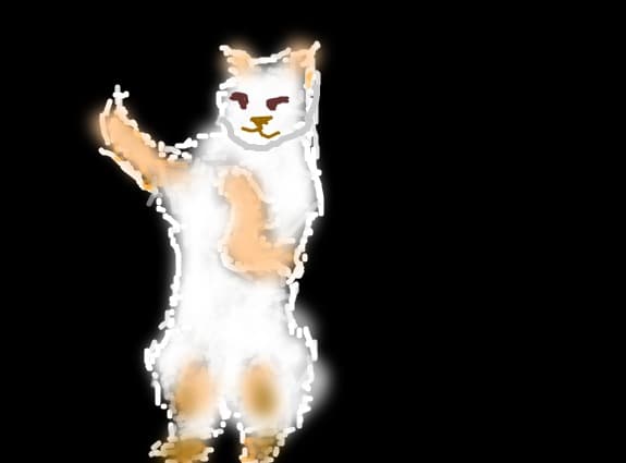 cat