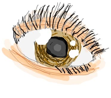 eye
