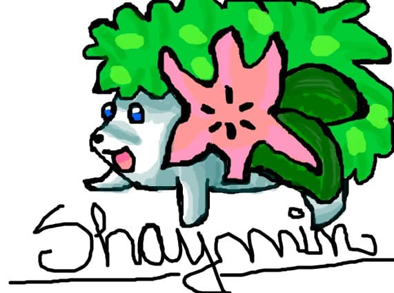 shaymin