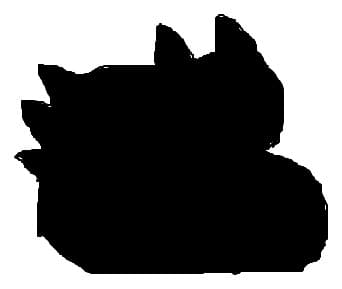 Mini concurs pokemon