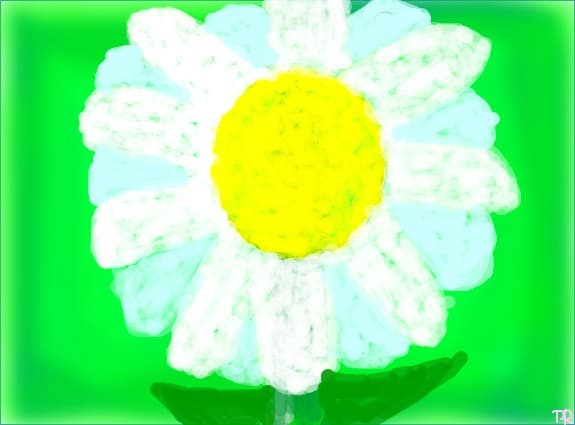 Margareta colorata