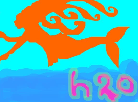 H2O
