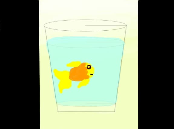 Goldfish