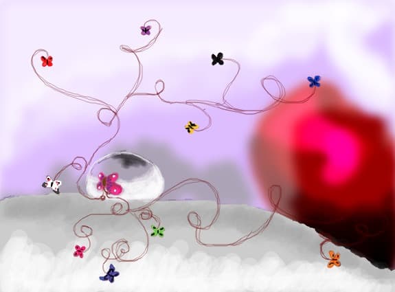 butterflies