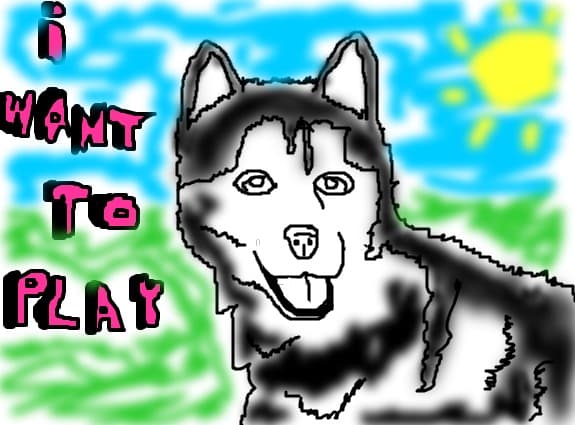 siberian husky:X:X: