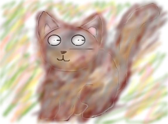 kitty
