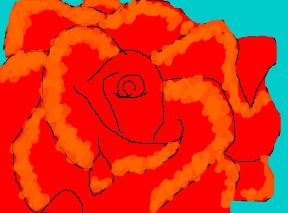 The rose of love