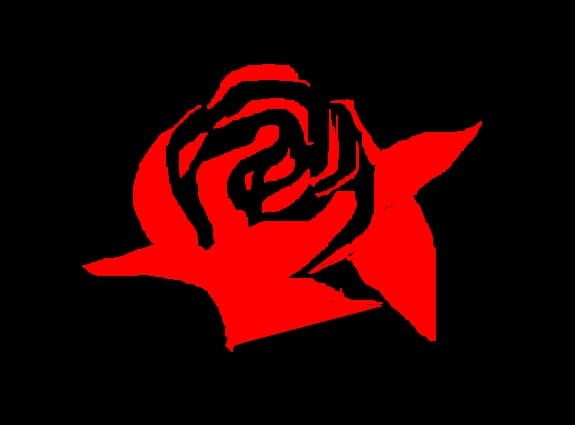 Red rose