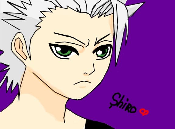 Bleach-shiro