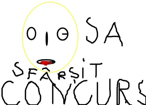 sa safrsit concursul