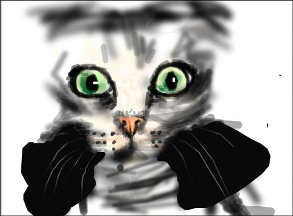 scared kitty....;))