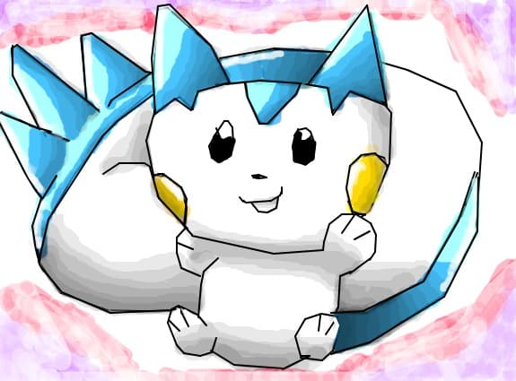 pachi