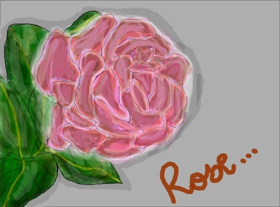 the second rose