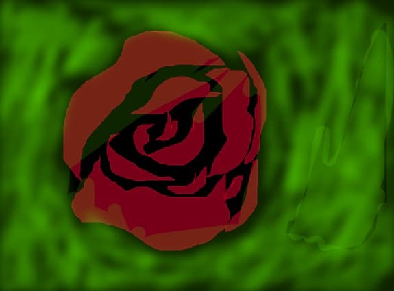 Rose for you