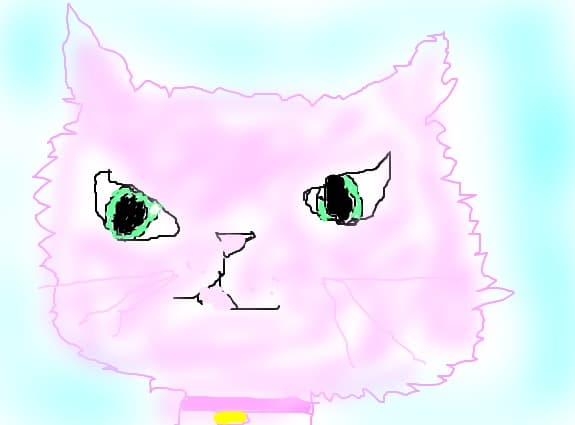 pisica