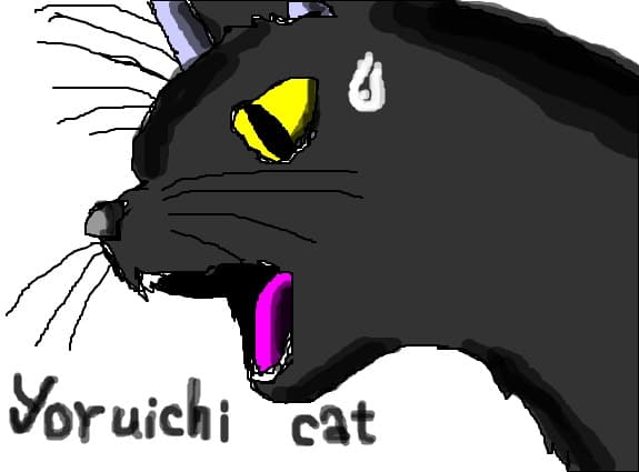 Yoruichi