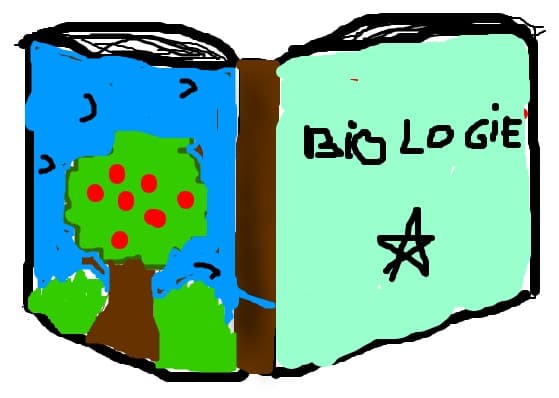 o carte