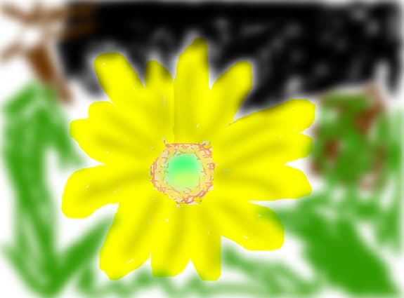 o floare