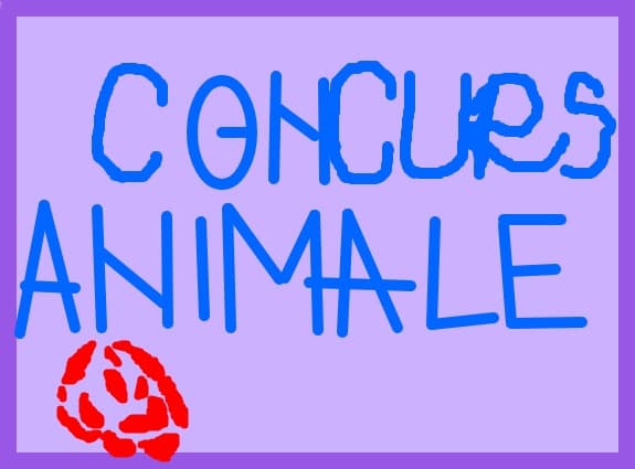 Concurs Animale