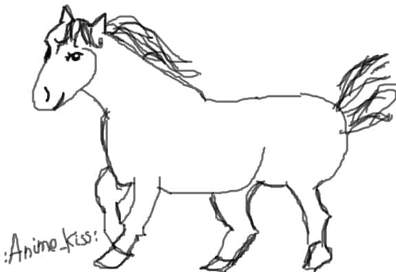 Horse