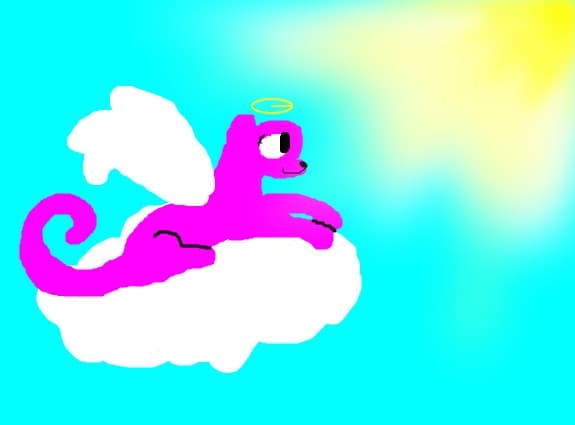 Angel 0:3