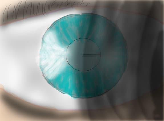 eye