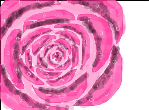pink rose