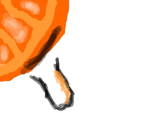 portocala