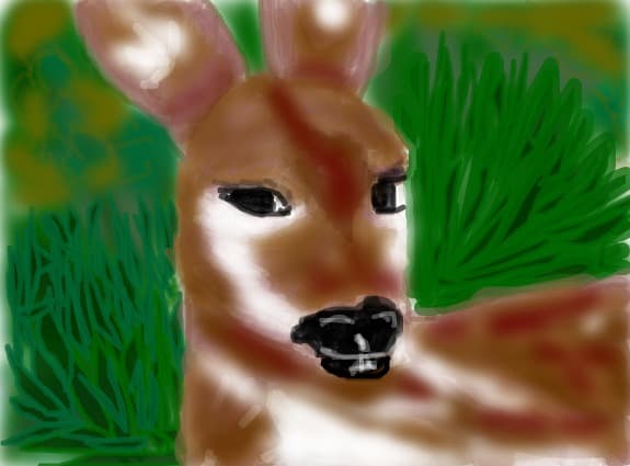 bambi