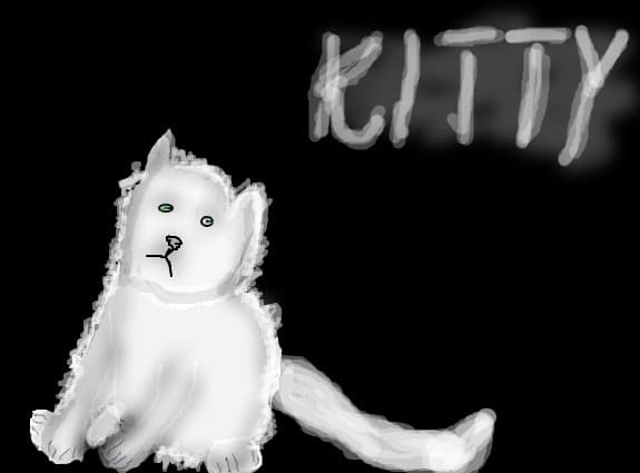 Kitty