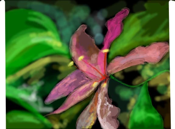 floricica