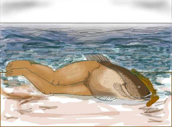 A revrse mermaid