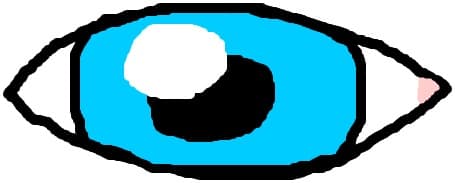 ochi
