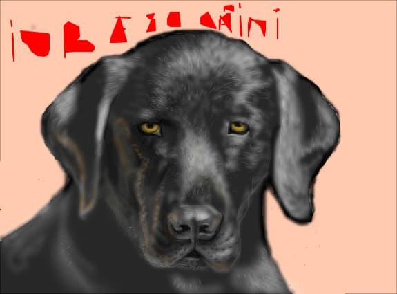 Desen 95885 modificat:alexa