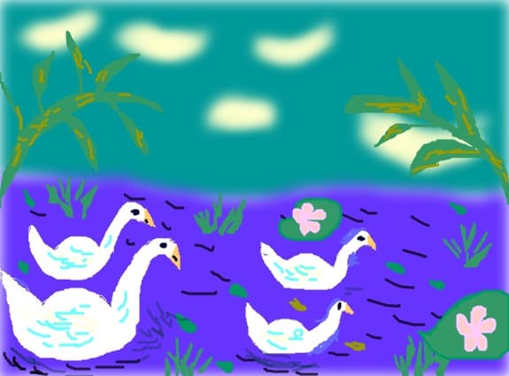 patru lebede pe lac