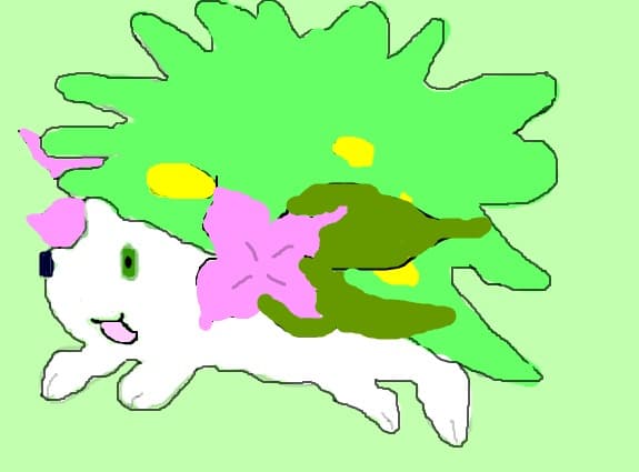 Shaymin