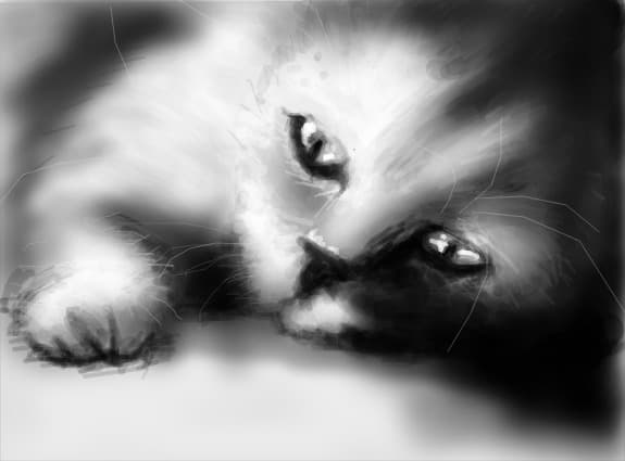 Pentruuu Essenzu'....:D.....si Selina....:D....pupici..:X